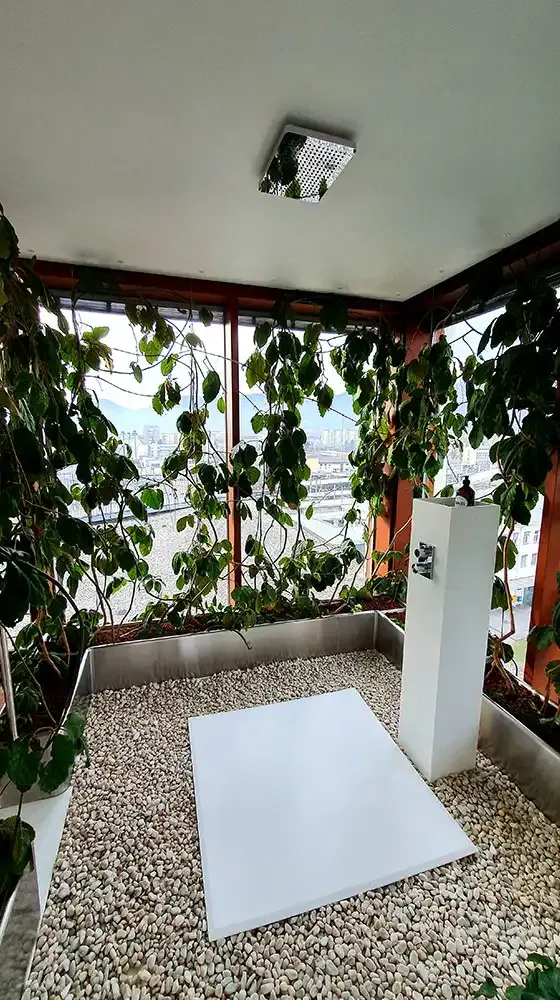Rain shower surrounded by plants in the LoftCube