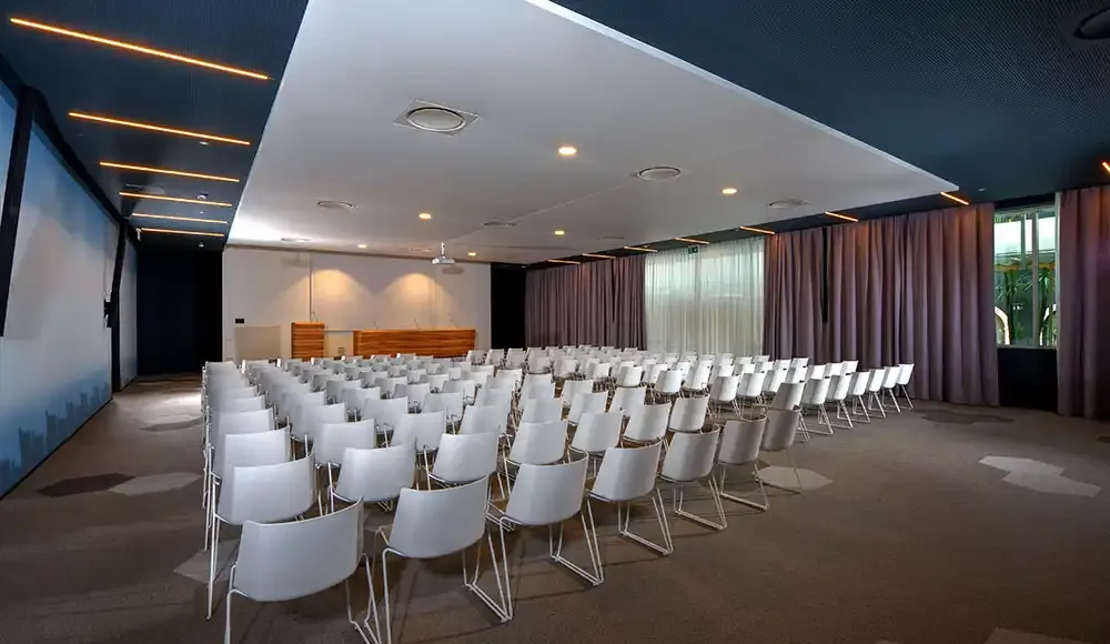 Conference room at Du Lac et Du Parc Grand Resort