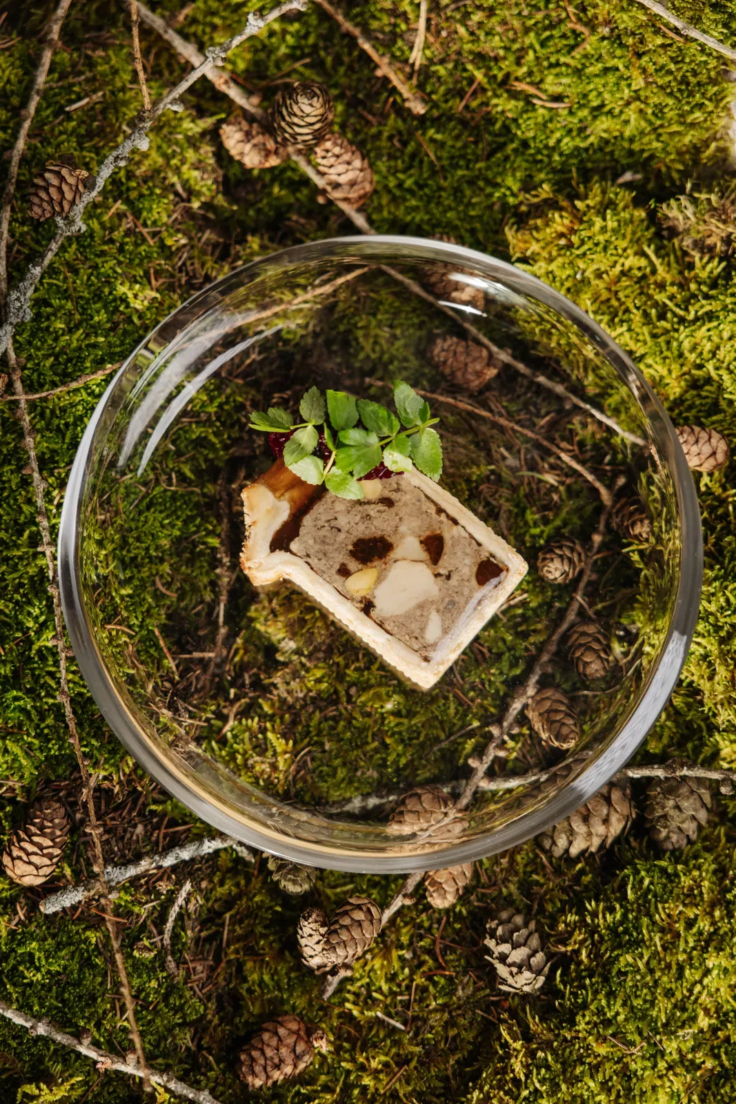 A dish served in a glass on a bed of moss and pine cones at Chef's Table by Gesser