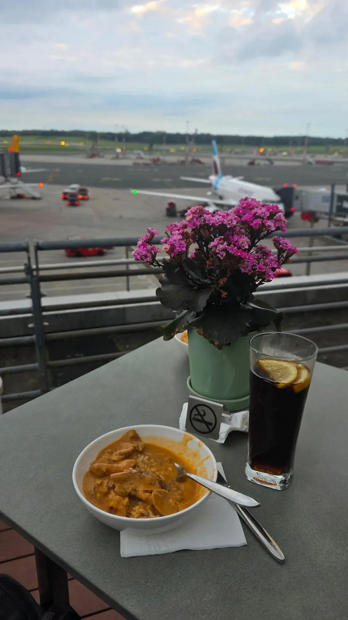 Chicken in sauce with rice on the terrace of the Senator Lounge, with a Eurowings aircraft behind