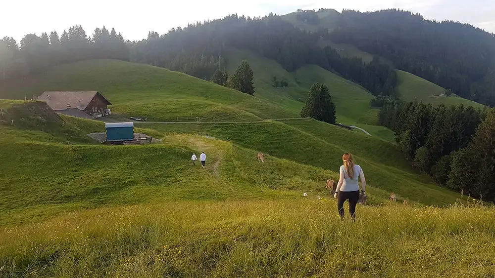 Walking across the meadow to the Null Stern Hotel