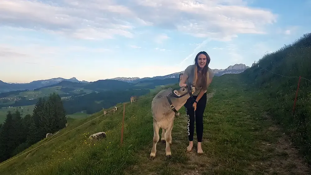 Guest with a cow near the Null Stern Hotel