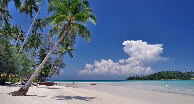 Palm-fringed beach at Soneva Kiri